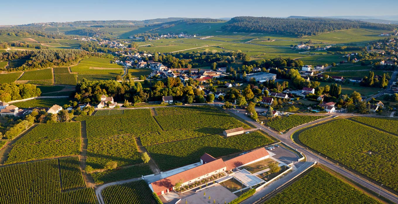 Domaine Faiveley